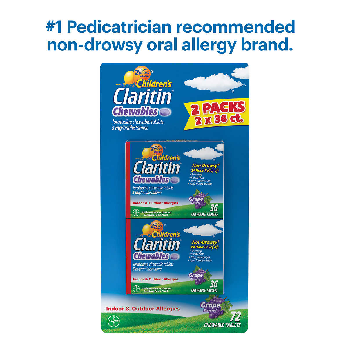 CLARITIN ALG CW 5MG 10 CHD GRP24H
