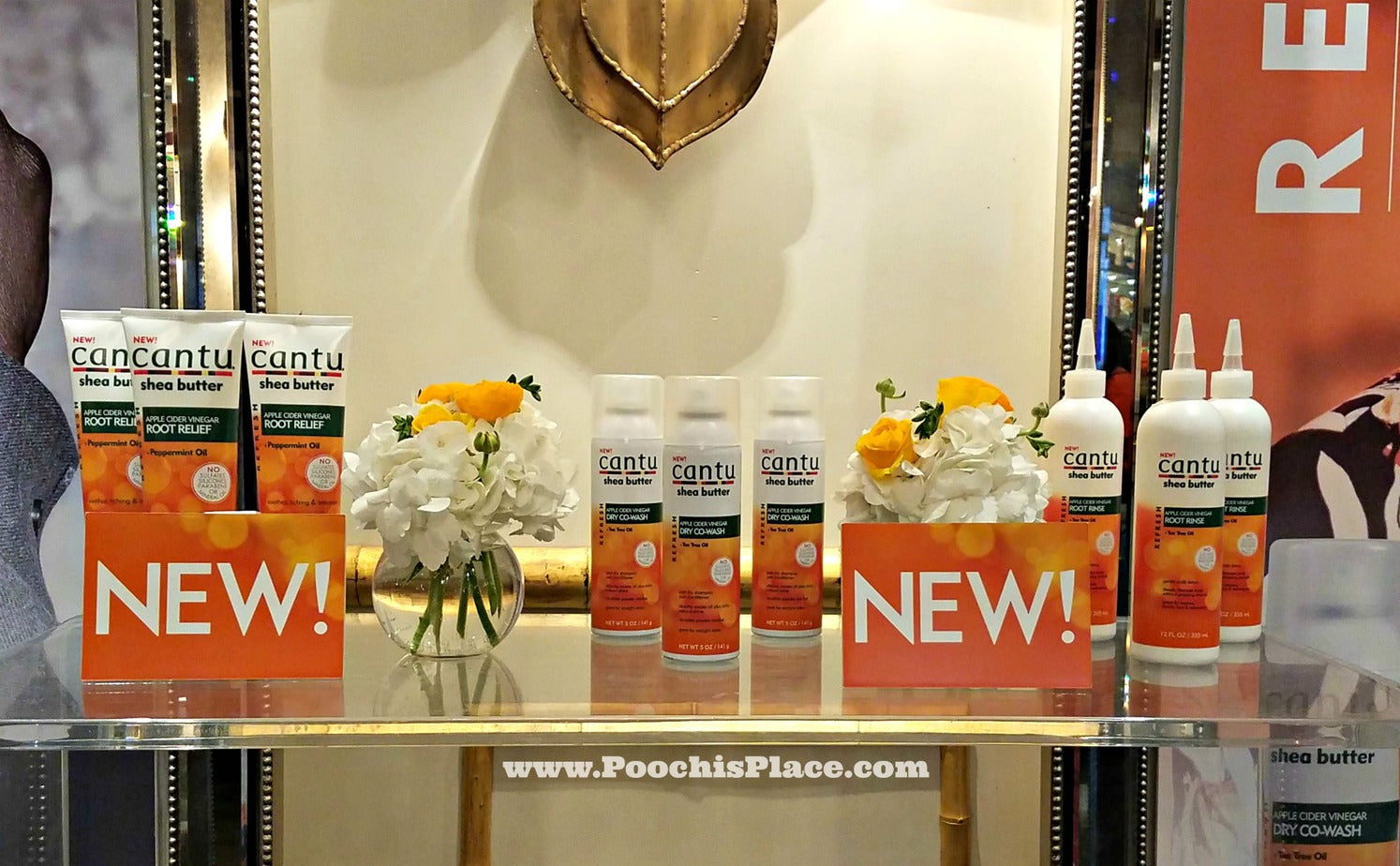 CANTU REFRESH 16PC DISPLAY