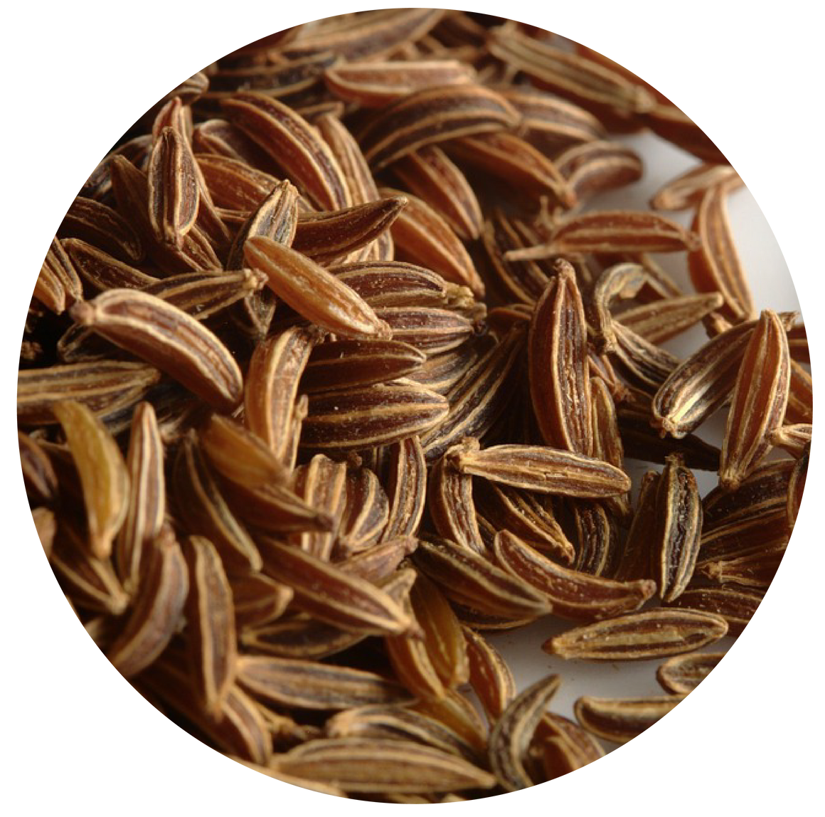 CARAWAY SEED 1,000IU