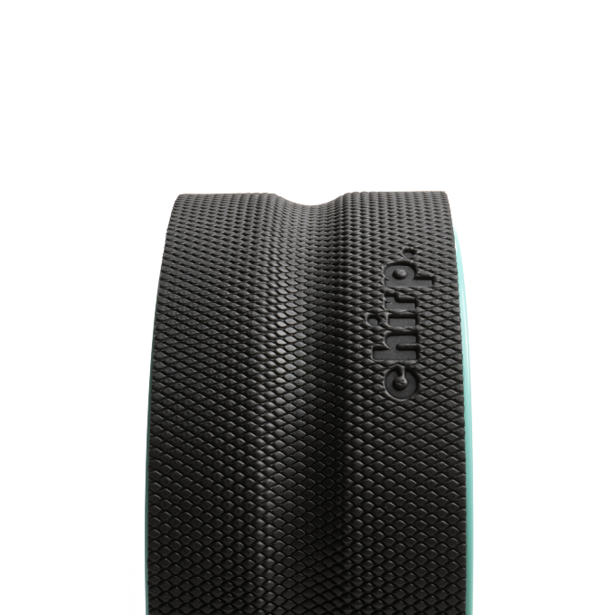 CHIRP WHEEL 10IN EQ FIRM WHL DSHP