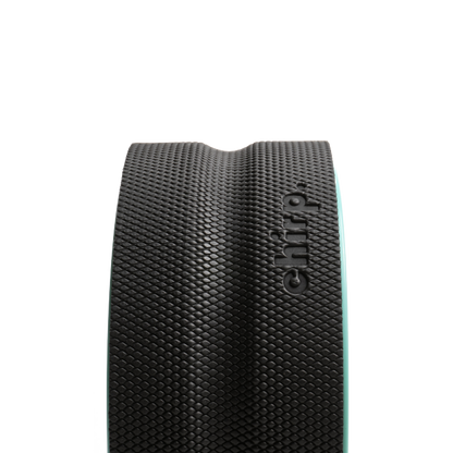 CHIRP WHEEL 10IN EQ FIRM WHL DSHP