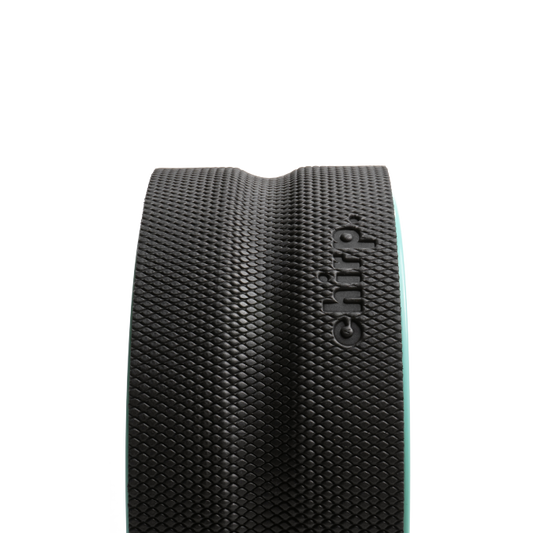 CHIRP WHEEL 10IN EQ FIRM WHL DSHP