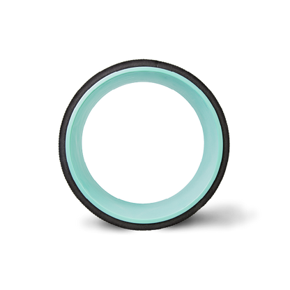 CHIRP WHEEL 10IN EQ FIRM WHL DSHP