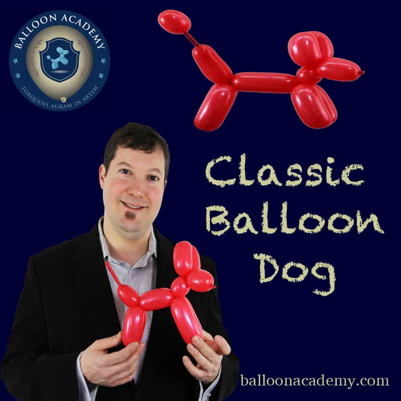 BALLOON DOGS