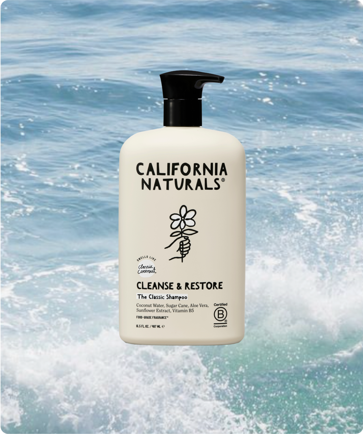 DR.NATURALS COCONUT SHAMPOO 16Z