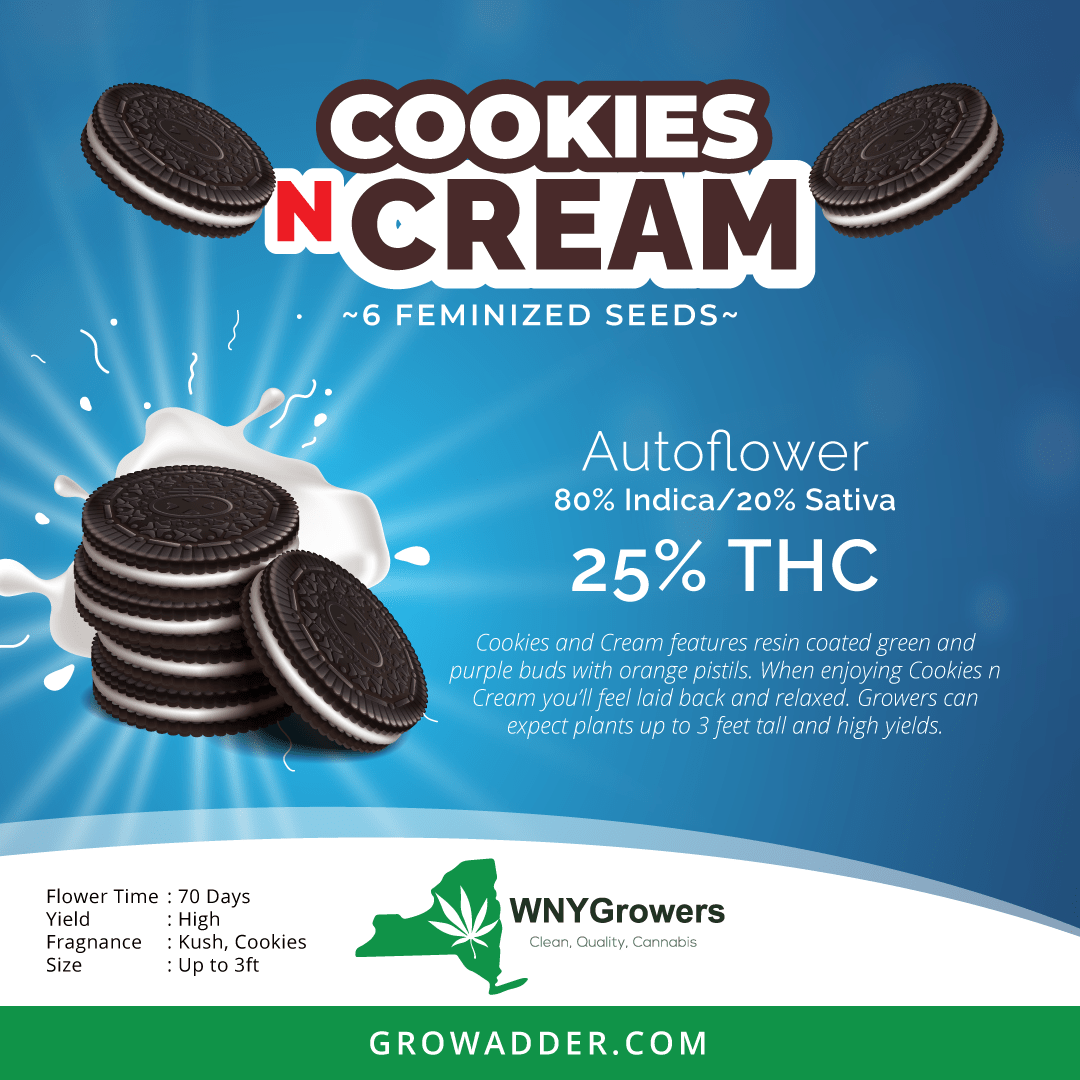 PLANTFUSION,COOKIES N CRM