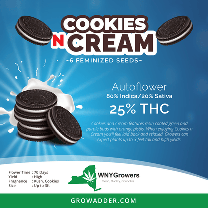 PLANTFUSION,COOKIES N CRM
