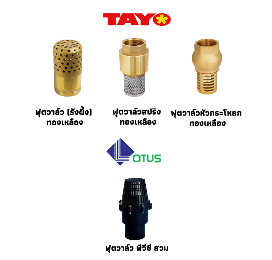 HND SP,LQD,CNUTMLK,SNDLWD
