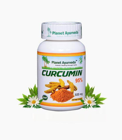 CURCUMIN 95 500MG CAP 45CT 21ST CENT