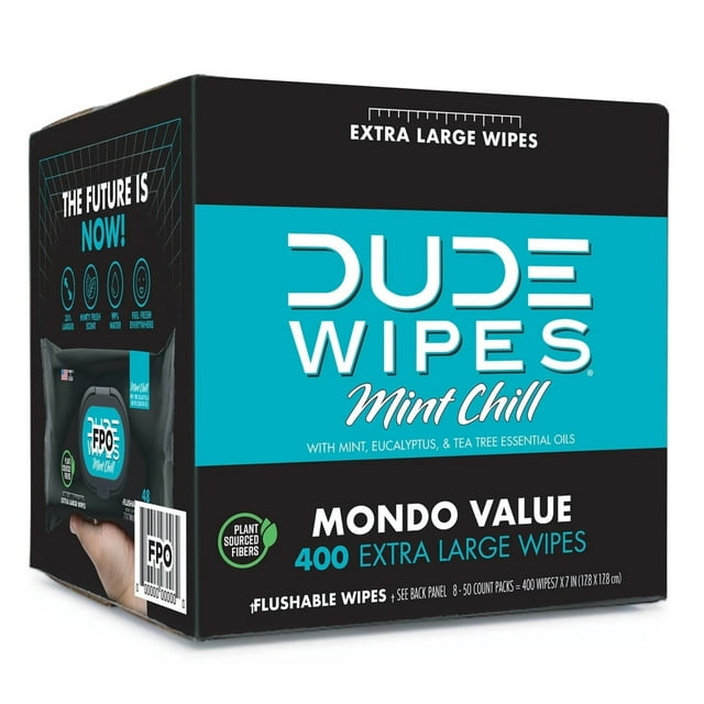 DUDE WIPES WIPES,DISPENSER PACK