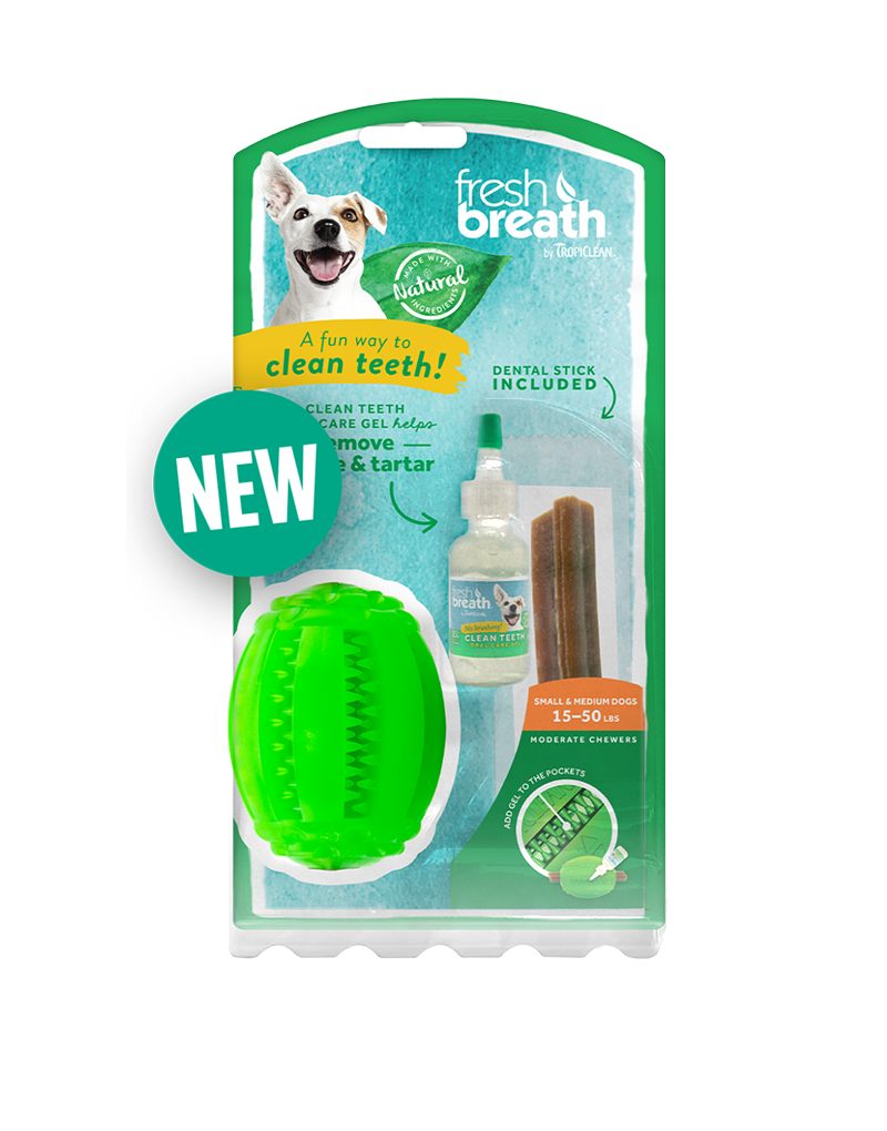 CHEW/CLEAN DENTAL LG DOG TOY D