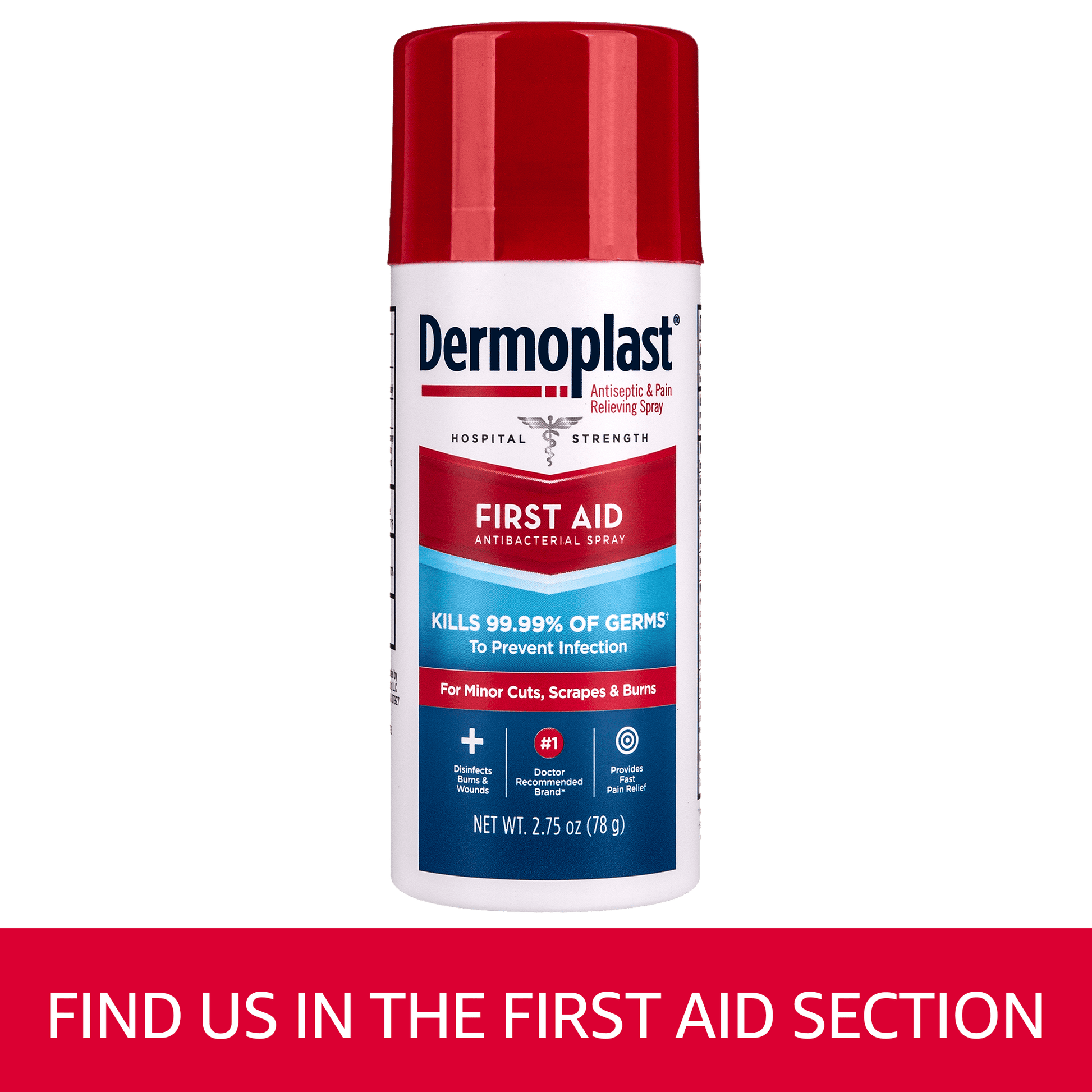 DERMOPLAST PAIN RELIEF SPRAY 2.75OZ
