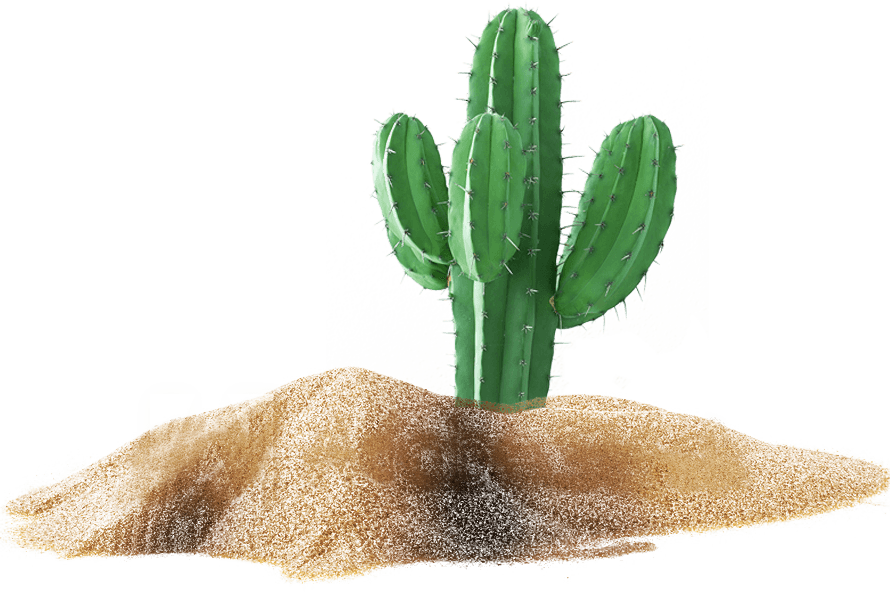 HUME SUPERNATURAL DEOD BALM,DESERT BLOOM