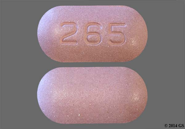 MYCOPHENOLATE MOF TB 500MG 500