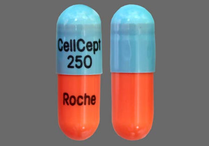 CELLCEPT CP 250MG 100