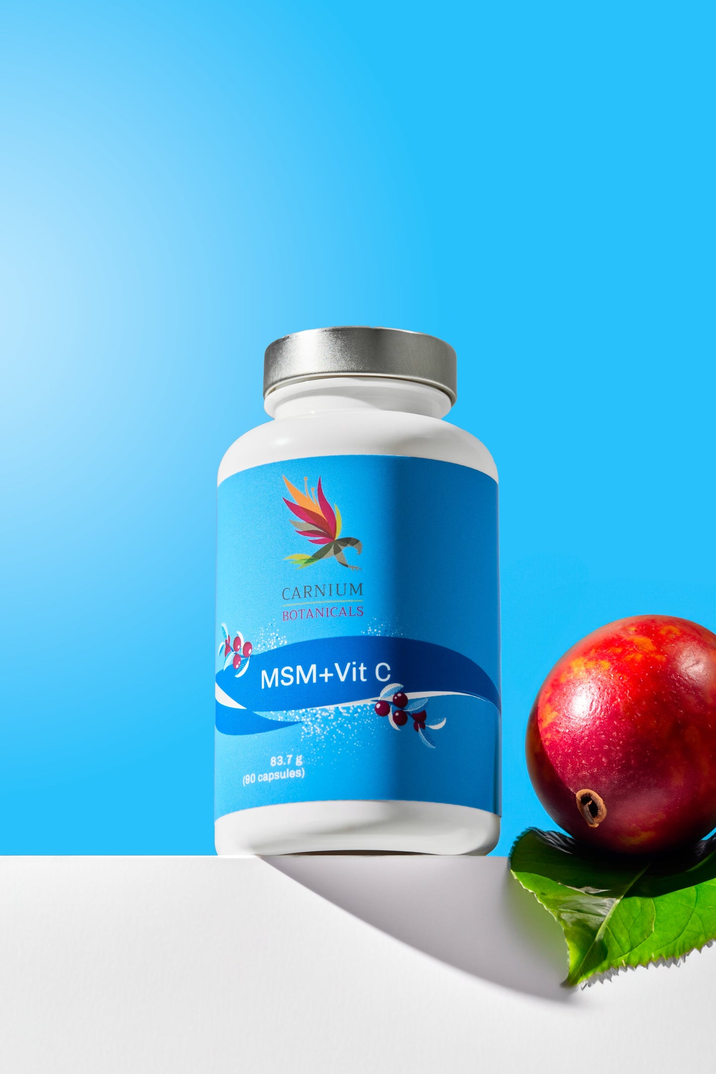 GLUCOS/CHOND W MSM VIT C