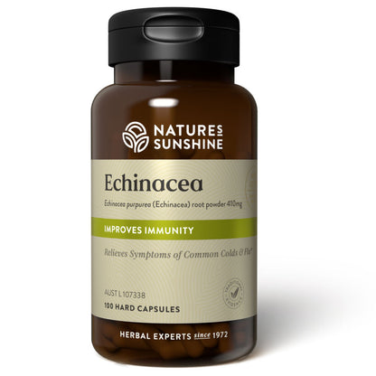 Echinacea