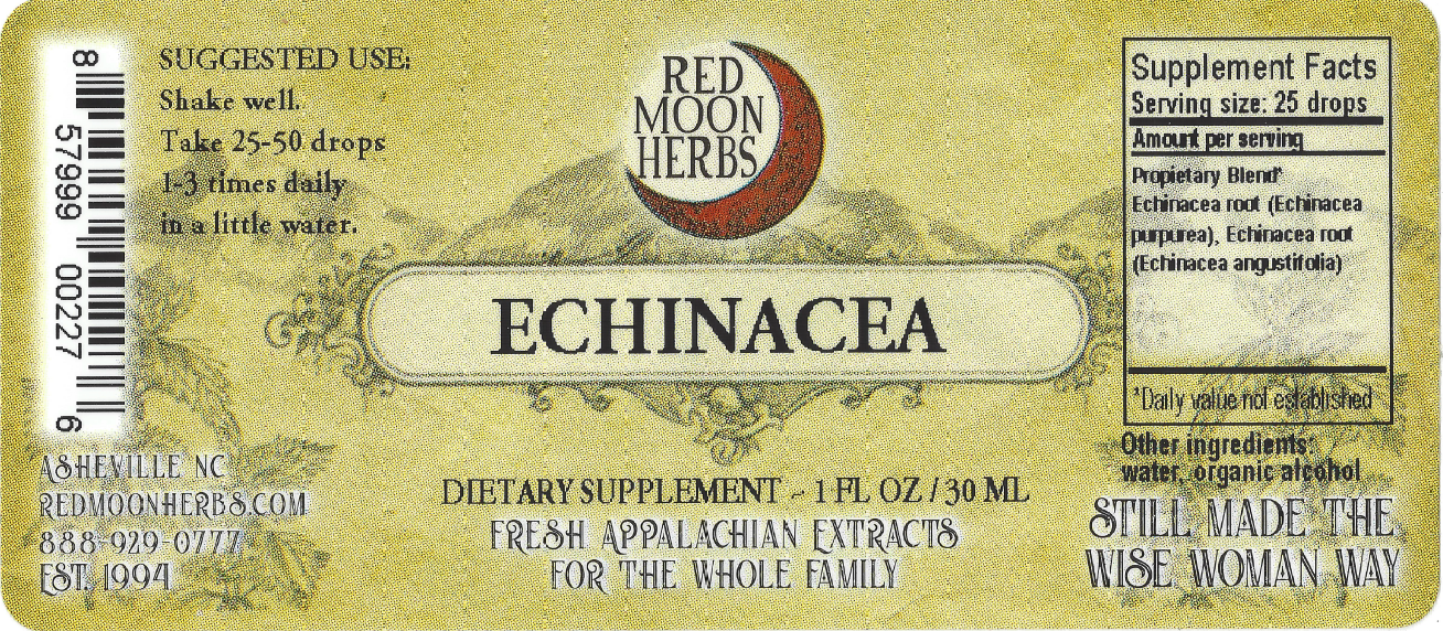 Echinacea