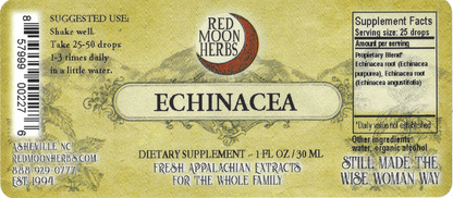 Echinacea