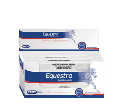 EQUETRO CP 300MG 120 ER