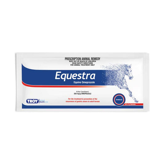EQUETRO CP 300MG 120 ER