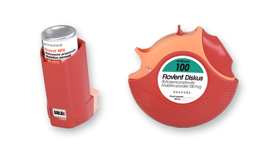 FLOVENT DISKUS IN 100MCG 60