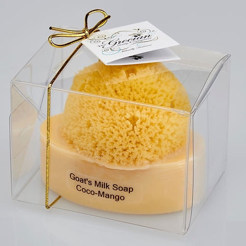 S/M COCO HIB SOAP           8OZ