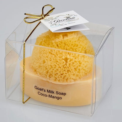 S/M COCO HIB SOAP           8OZ