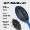 CONAIR Detangle Delight Cushion and Mini Cushion Value Pack Hair Brushes, 2 count
