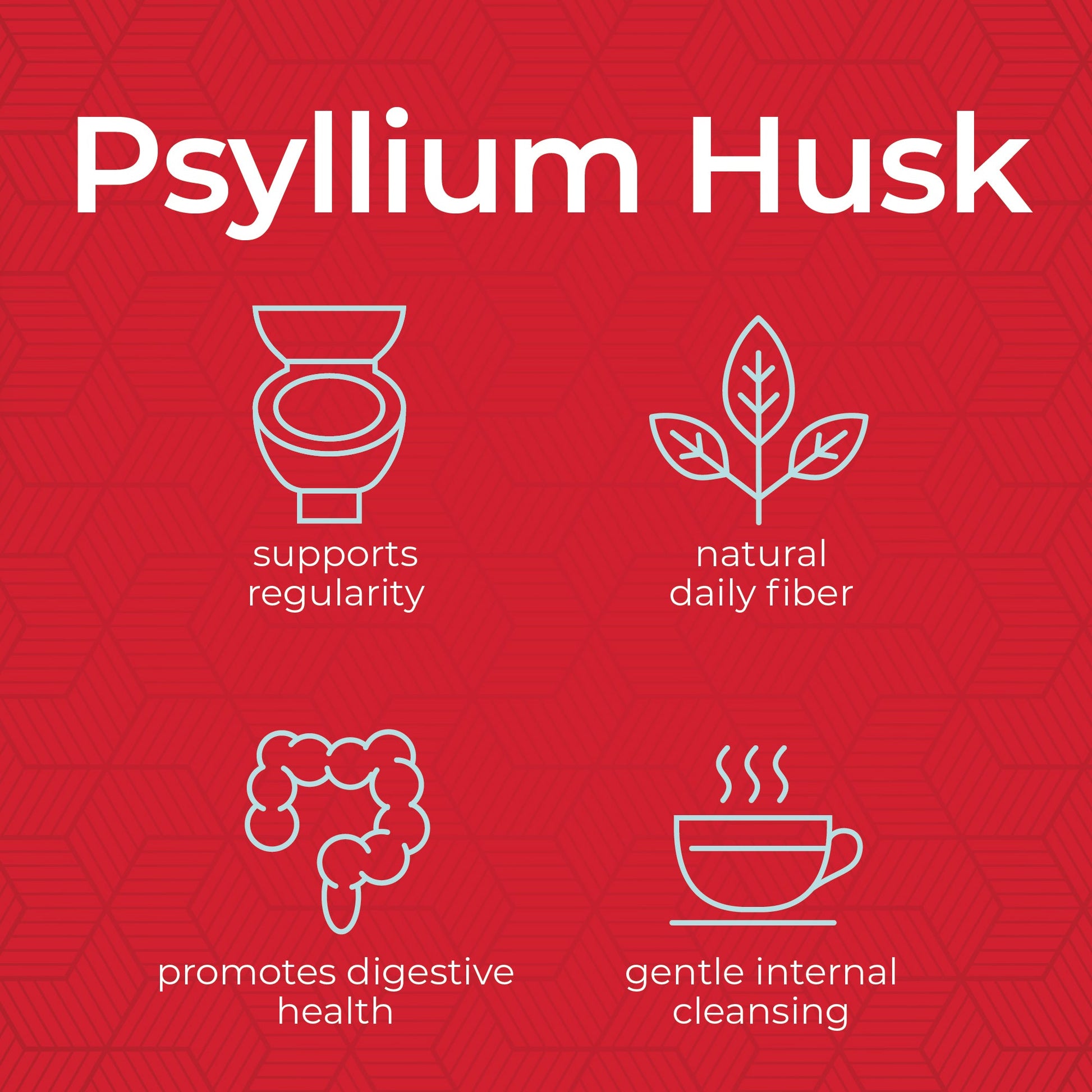 PSYLLIUM HUSK BAG
