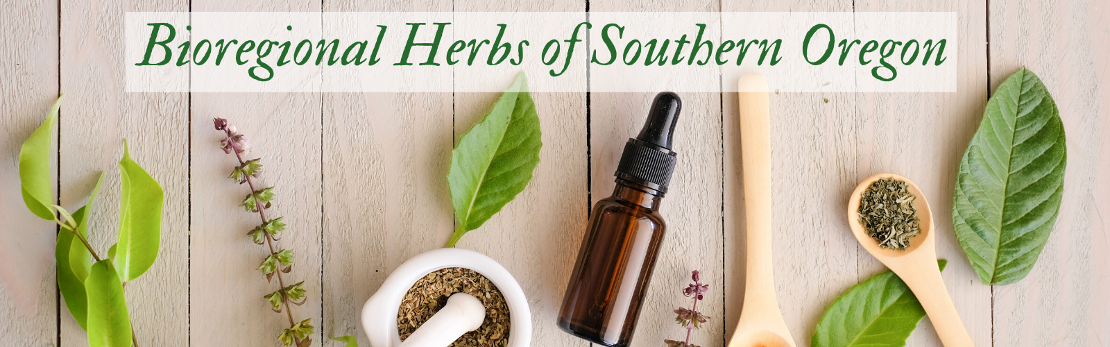HERB PHARM DAMIANA