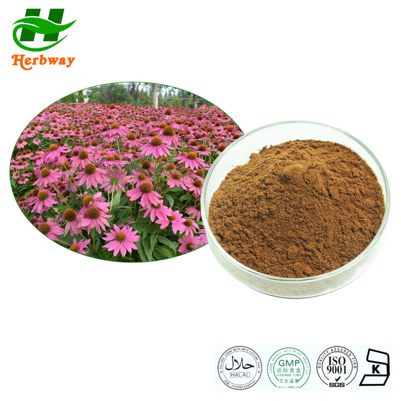 ECHINACEA EXTRACT CP 60 VCP
