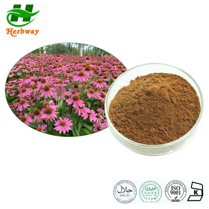 ECHINACEA EXTRACT CP 60 VCP