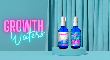 HLYWD HAIR BAR HERBAL SHAMP  8Z