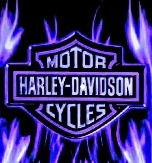 H-D Custom Motor Harley-Davidson Cycles