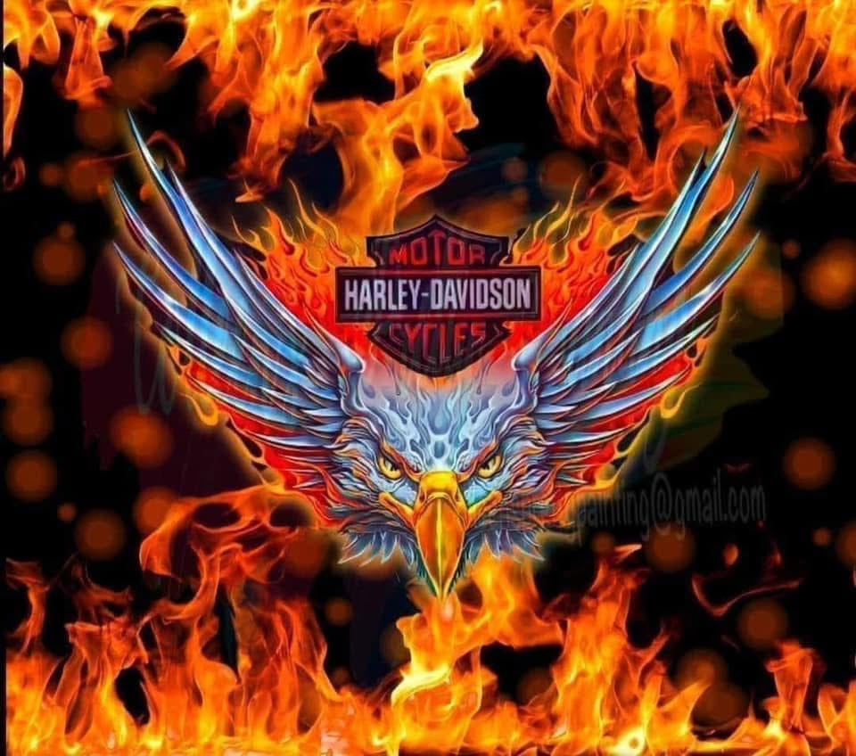 H-D Custom Motor Harley-Davidson Cycles