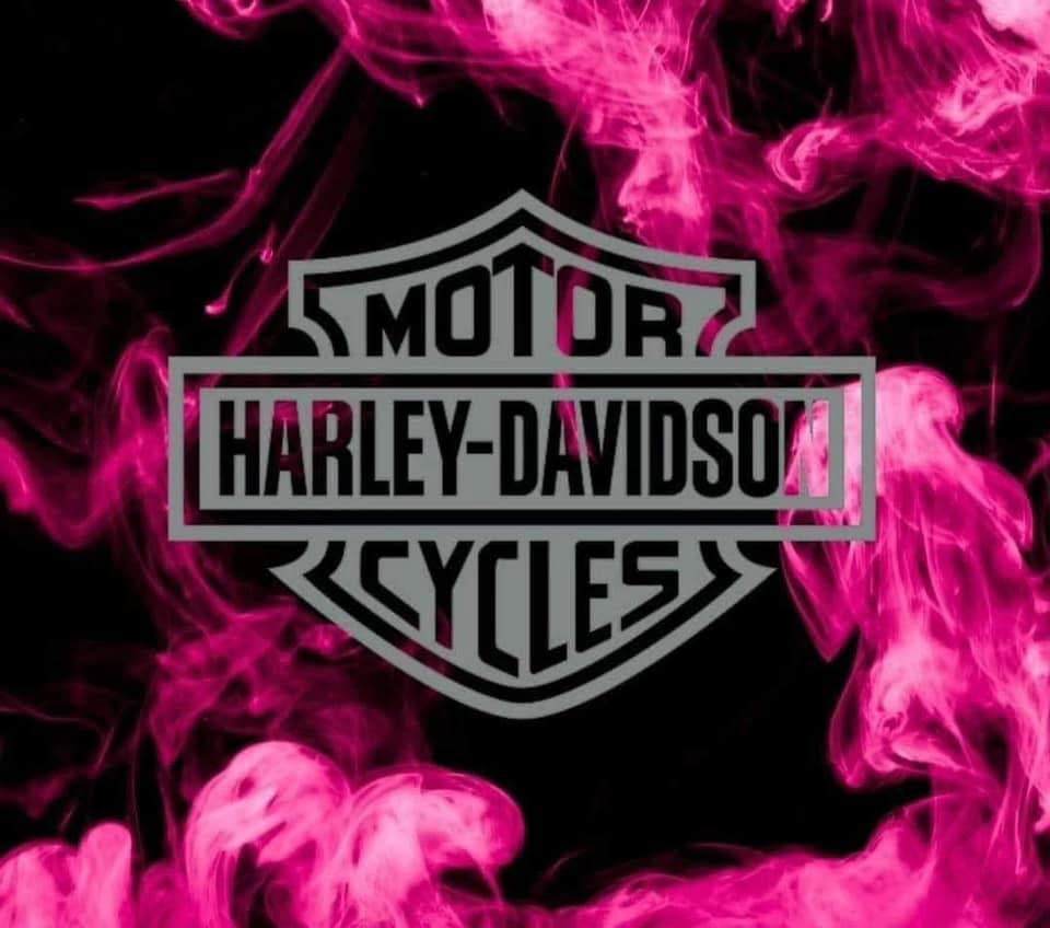 H-D Custom Motor Harley-Davidson Cycles
