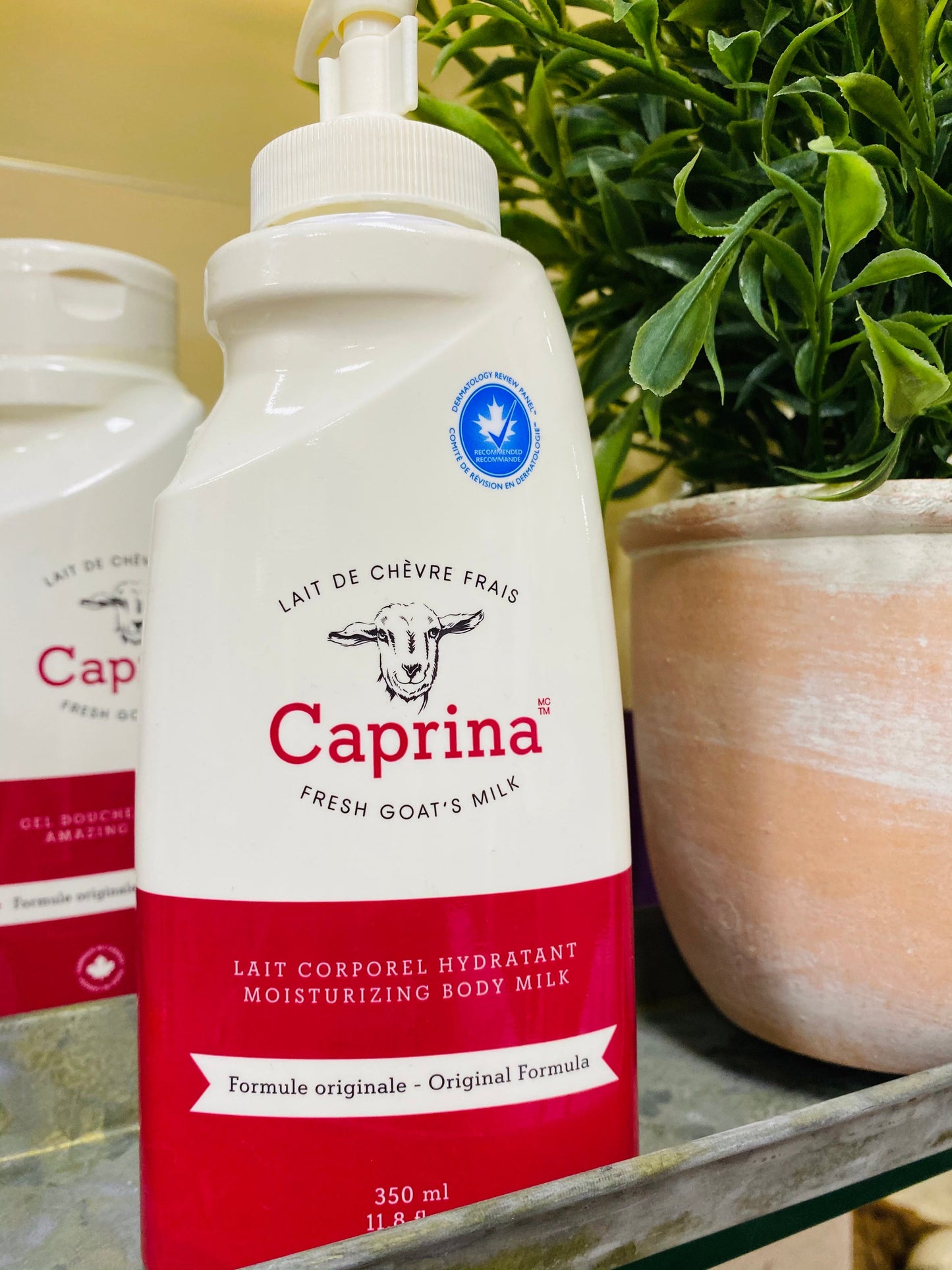 CANUS GOATS MILK SP LAV
