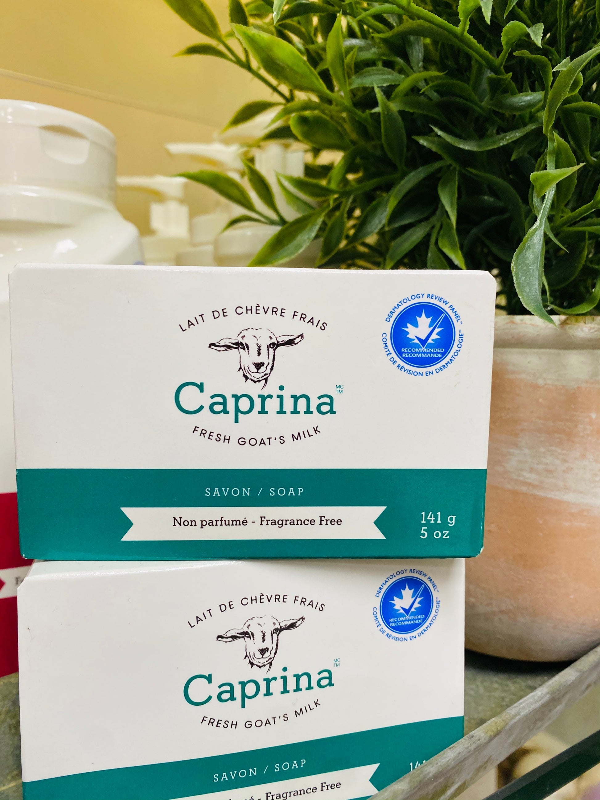 CANUS GOATS MILK SP LAV