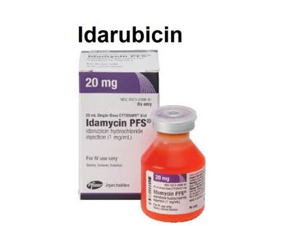 IDAMYCIN PFS SF 1MG/ML 20ML