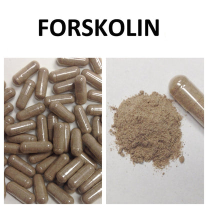 FORSKOLIN EXTRACT