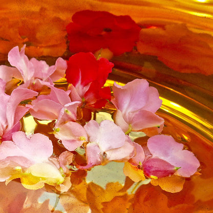 BACH IMPATIENS