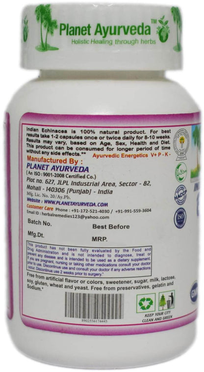 ECHINACEA CAPSULES