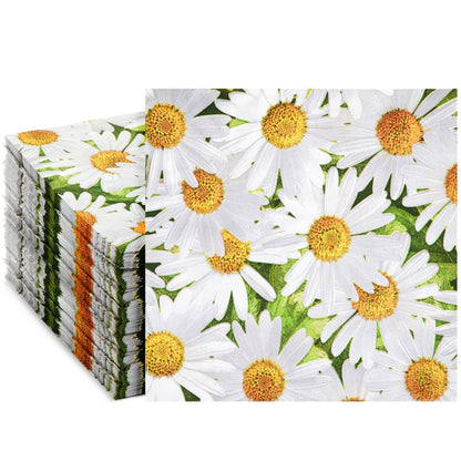 BDAY CHEER LUNCH NAPKIN 16CT