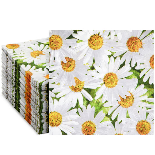 BDAY CHEER LUNCH NAPKIN 16CT