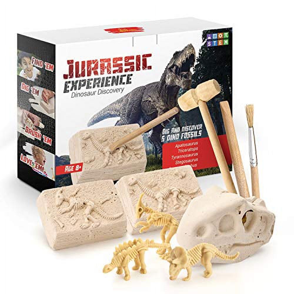 Kinetic Sand Buried Treasure Playset with 6oz of Play Sand and Surprise Hidden Tool (Style May Vary) Sensory Toys for Kids Ages 3 and up