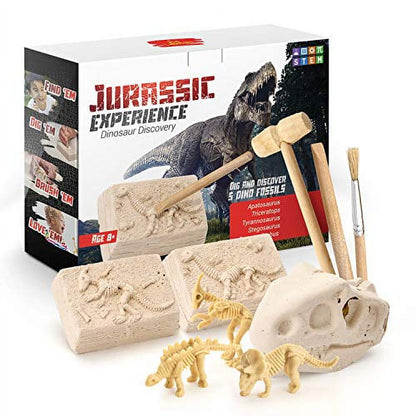 Kinetic Sand Buried Treasure Playset with 6oz of Play Sand and Surprise Hidden Tool (Style May Vary) Sensory Toys for Kids Ages 3 and up