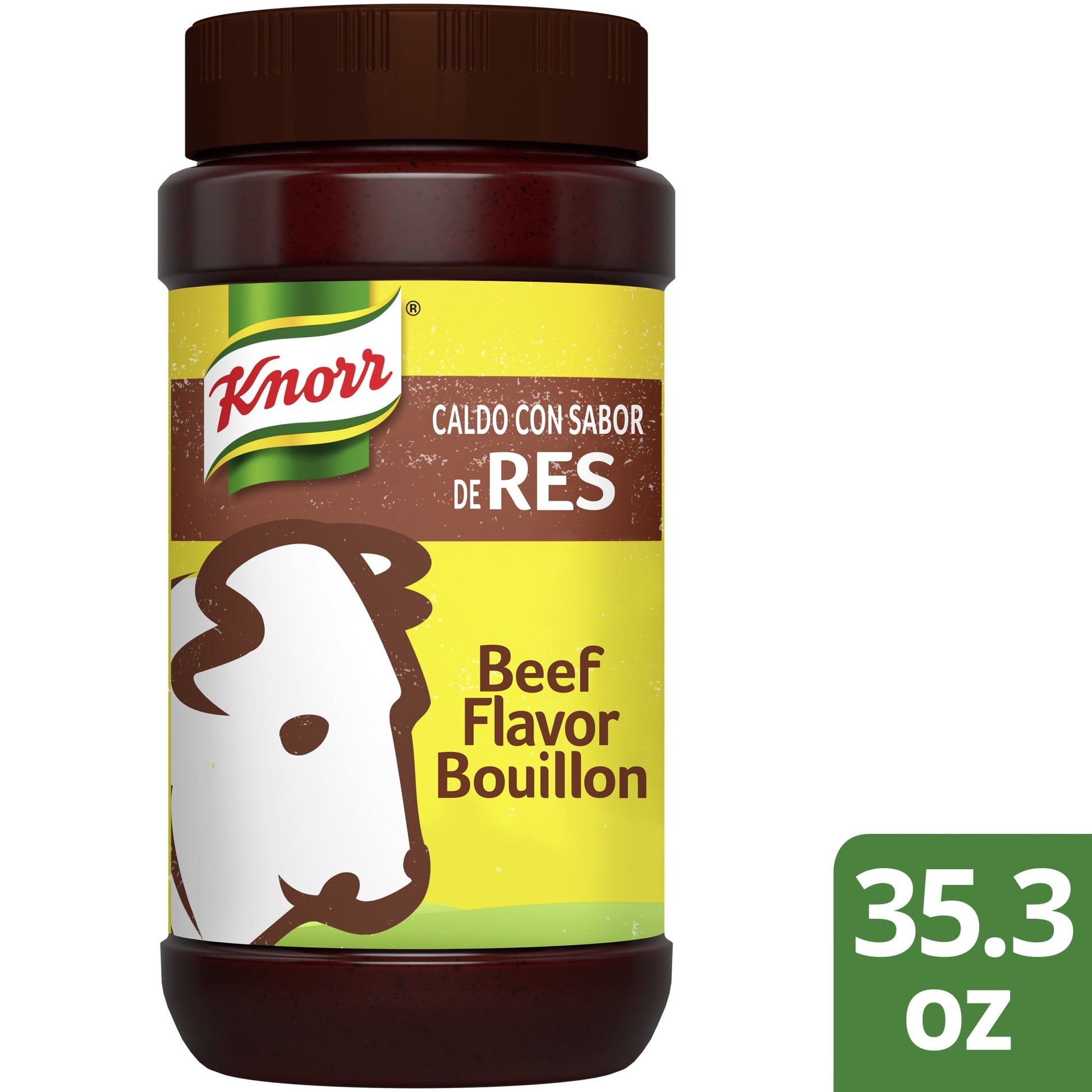 BEEF FLAVOR (PWDR) 500 GM DS