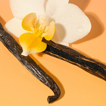 LIP BALM ST VANILLA BEAN ORGANIC