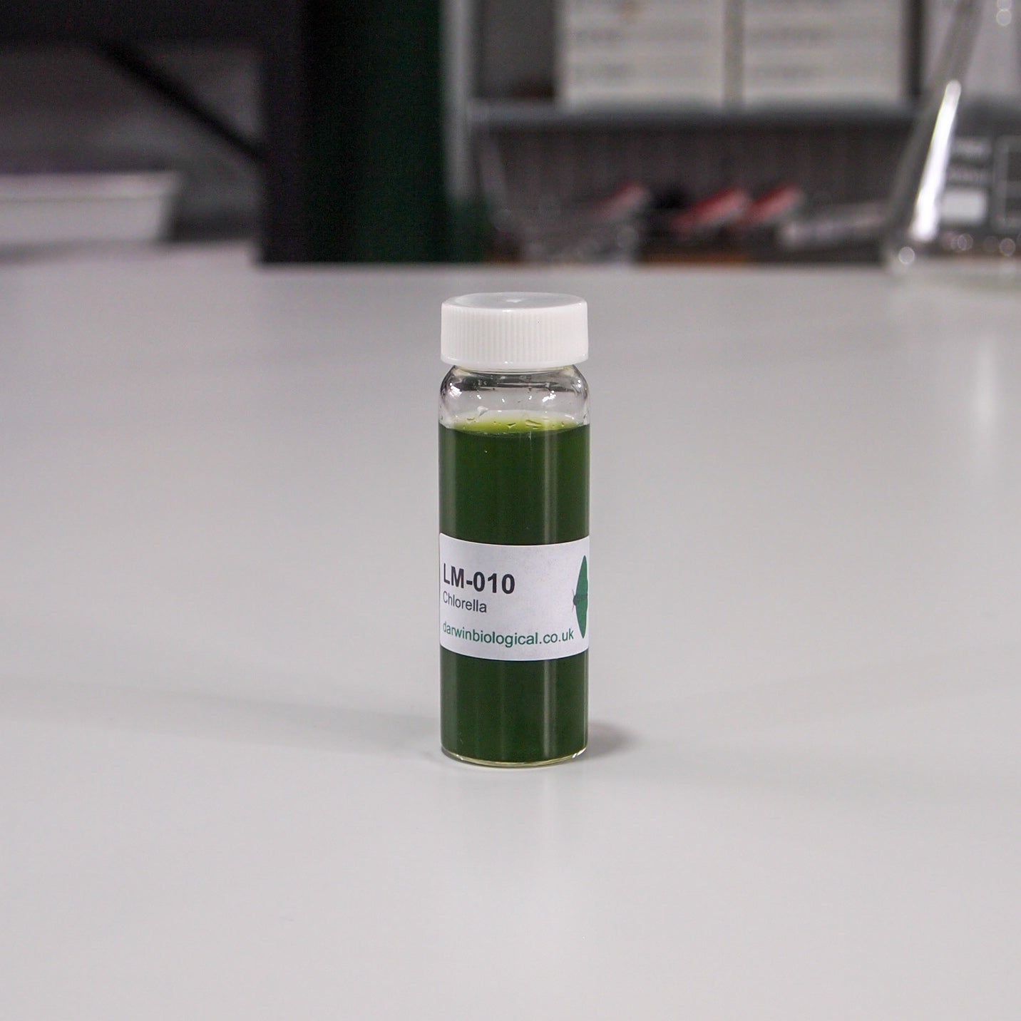 NWY CHLORELLA CP 100